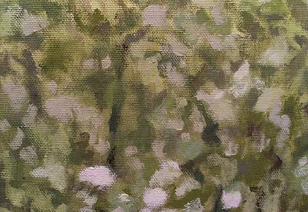 2008������������˫��չ